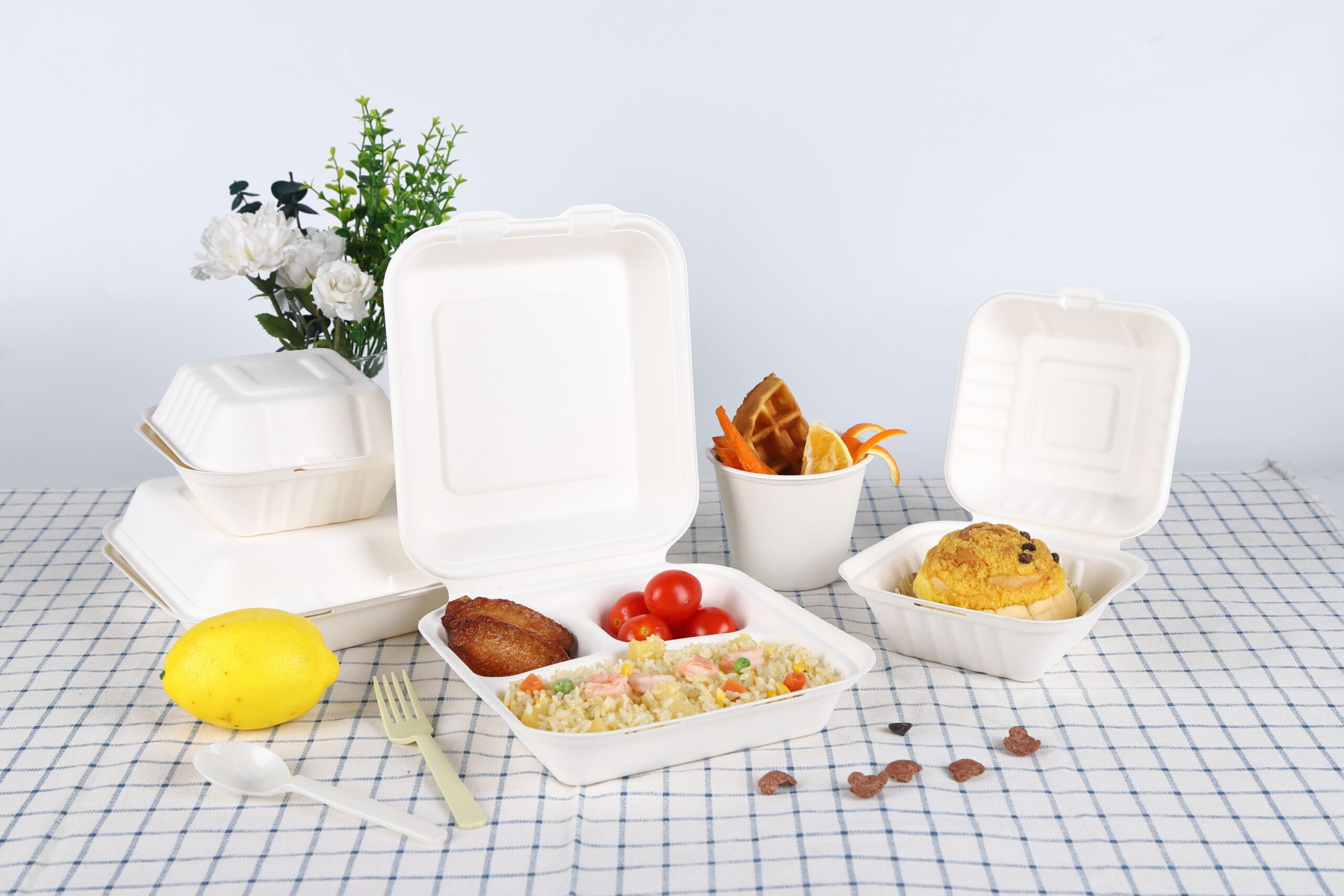 Bagasse Clamshell