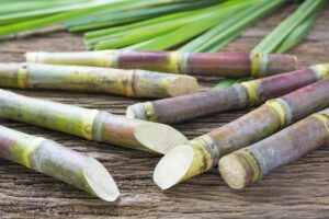 The Superior Advantages of Bagasse Tableware: Leading the Sustainable Revolution