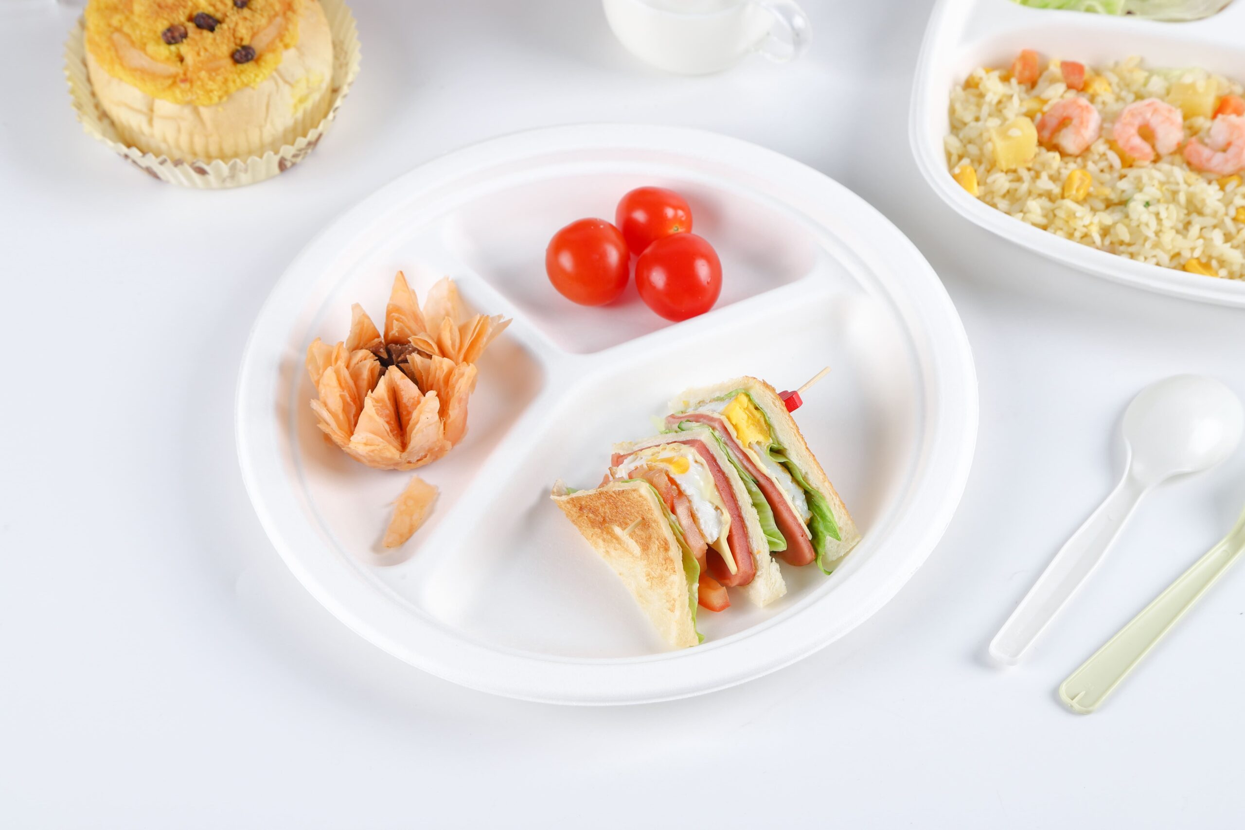 Bagasse Plate