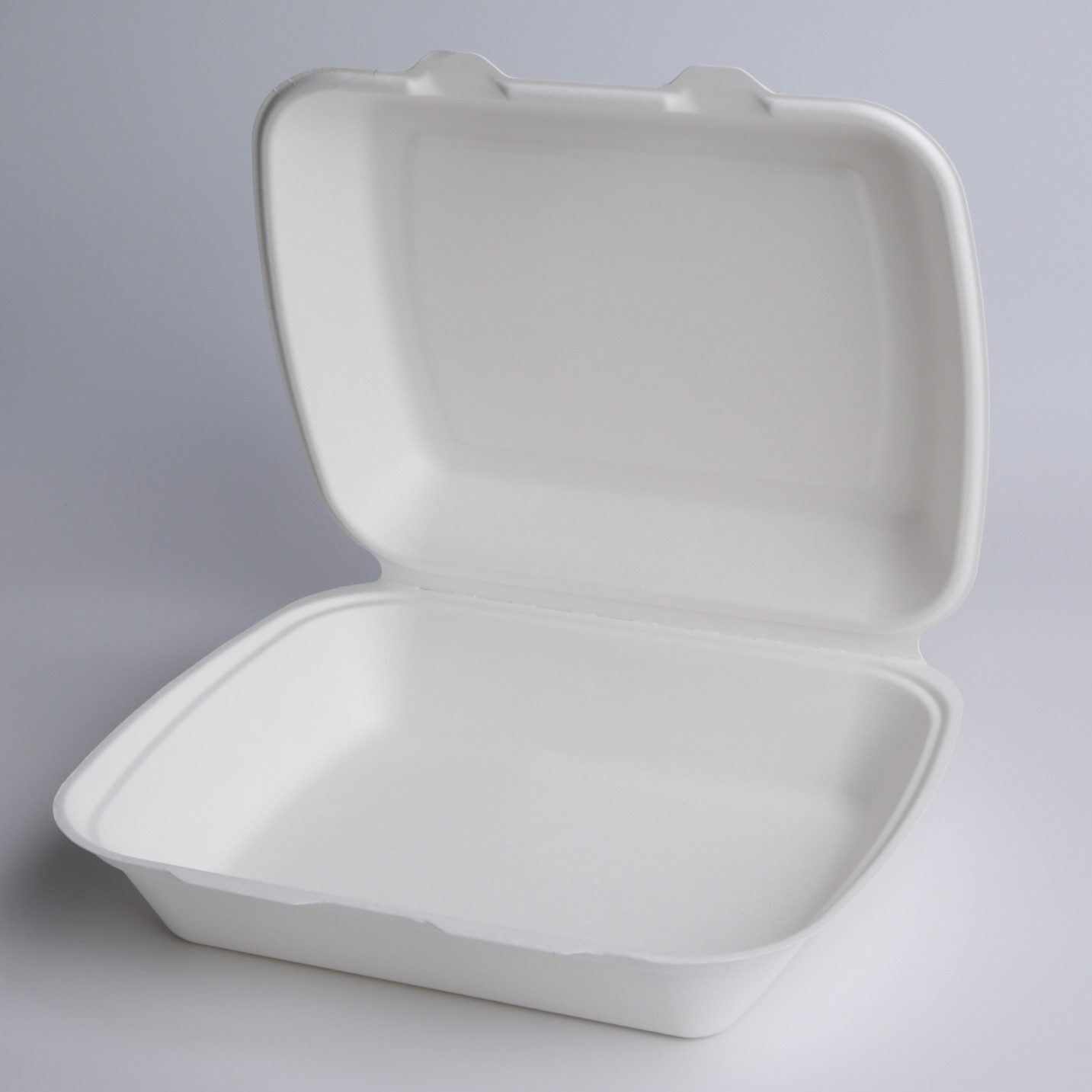 9″*7″ Sugarcane Pulp Clamshell