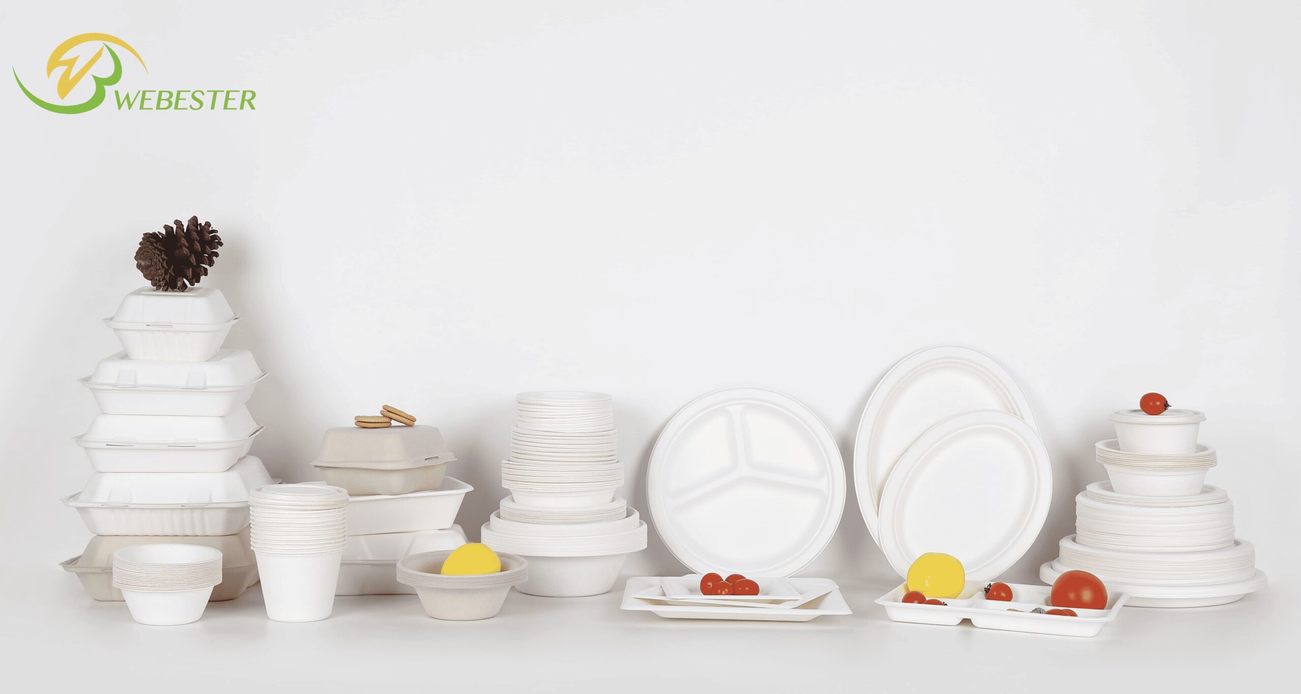 Webester Eco Pack Full Products Range