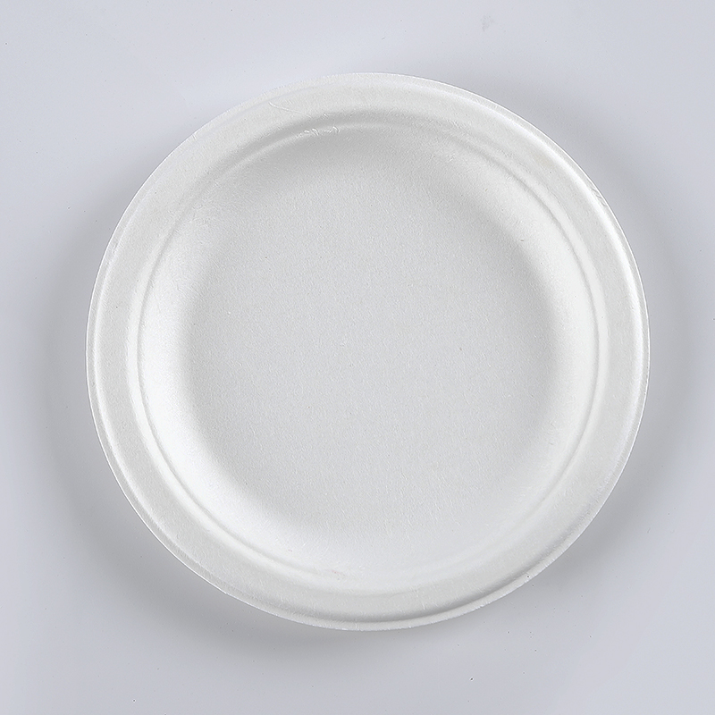 P004