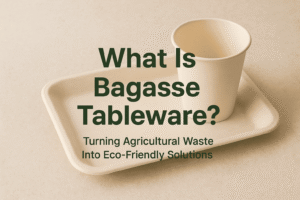 What Is Bagasse Tableware? Turning Agricultural Waste Into Eco-Friendly Solutions