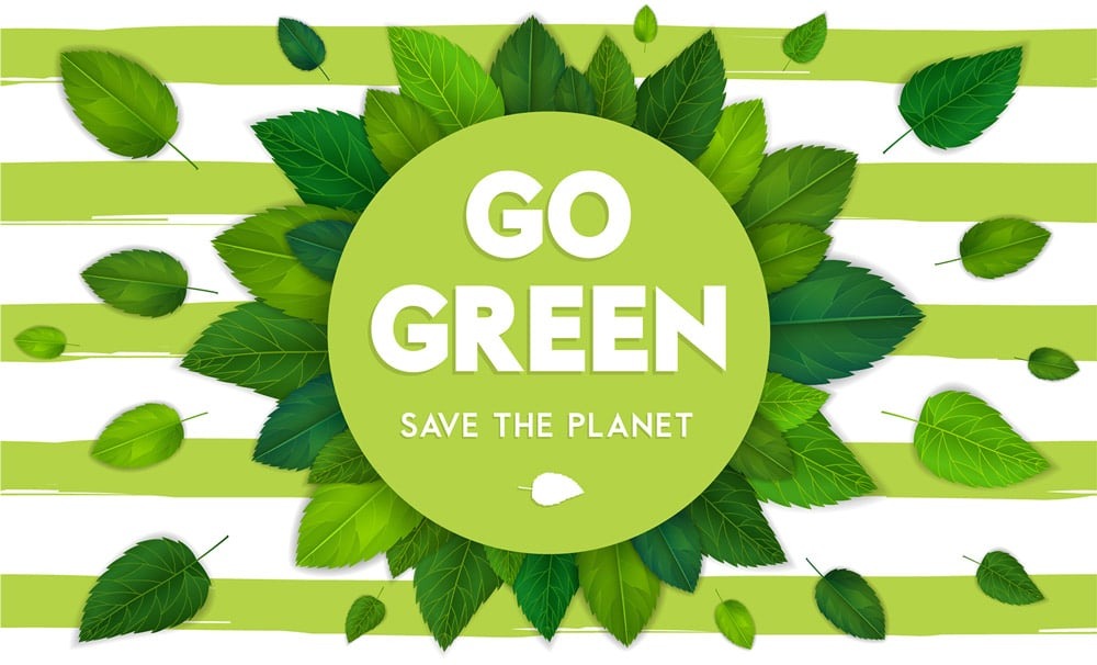 Green Company Vision