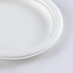 6″ Sugarcane Bagasse Pulp Round Plate
