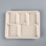 5-Compartment Sugarcane Bagasse Food Tray
