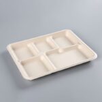 5-Compartment Sugarcane Bagasse Food Tray