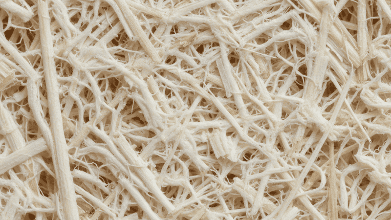 Close-up of the fibrous texture of a bagasse plate